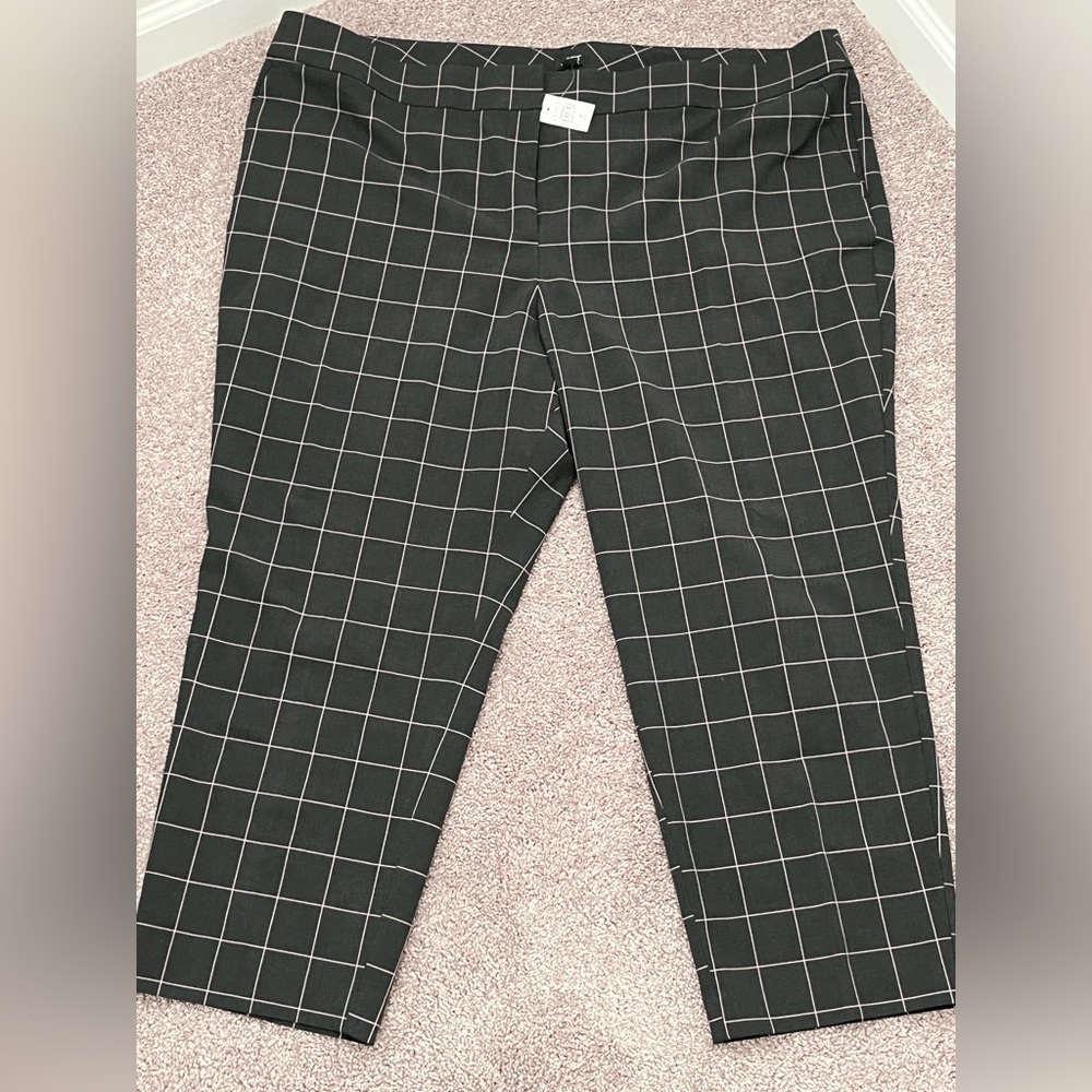 New Plus Size LOFT Pants